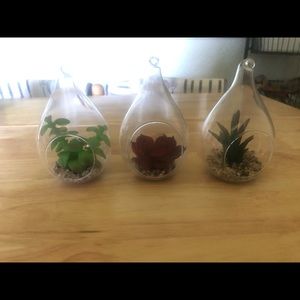 Faux Terrarium Set